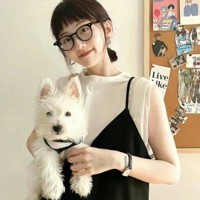 霸王龙:进化之旅